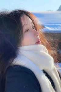 照云长倾笔趣阁免费阅读