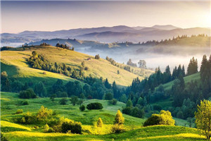 假爱真欢总裁太危险免费阅读