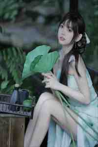 黎景致陆懿免费阅读全文