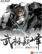 武极巅峰罗逸最后等级