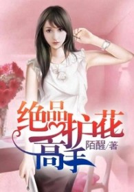 绝品护花高手秦风