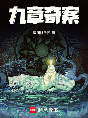 九章奇案无错完整版