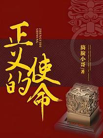 官场：正义的使命