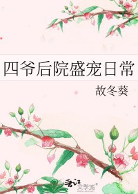 四爷后院团宠指南