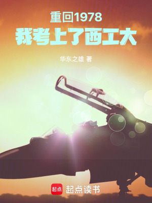 重回1978我考上西工大TXT