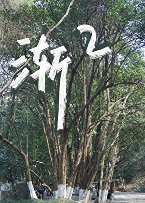 渐渐升高仿写词语