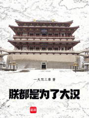 都是为了大汉!全本免费
