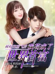 神豪从被校花嫌弃开始身价暴涨免费陈凡