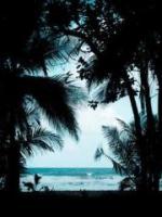 如意黄金散的功效