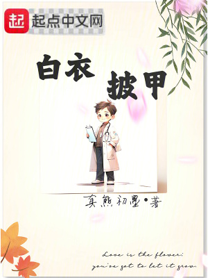 白衣披甲精校版百度