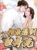 相亲相到白月光大结局