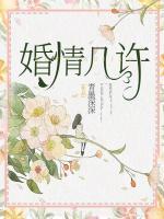 婚情几许陆瑶和邵允琛免费