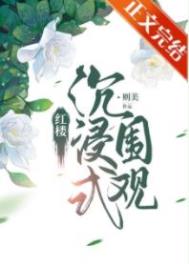 红楼沉浸式围观类似有哪些