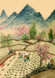 重生年代文的路人甲TXT